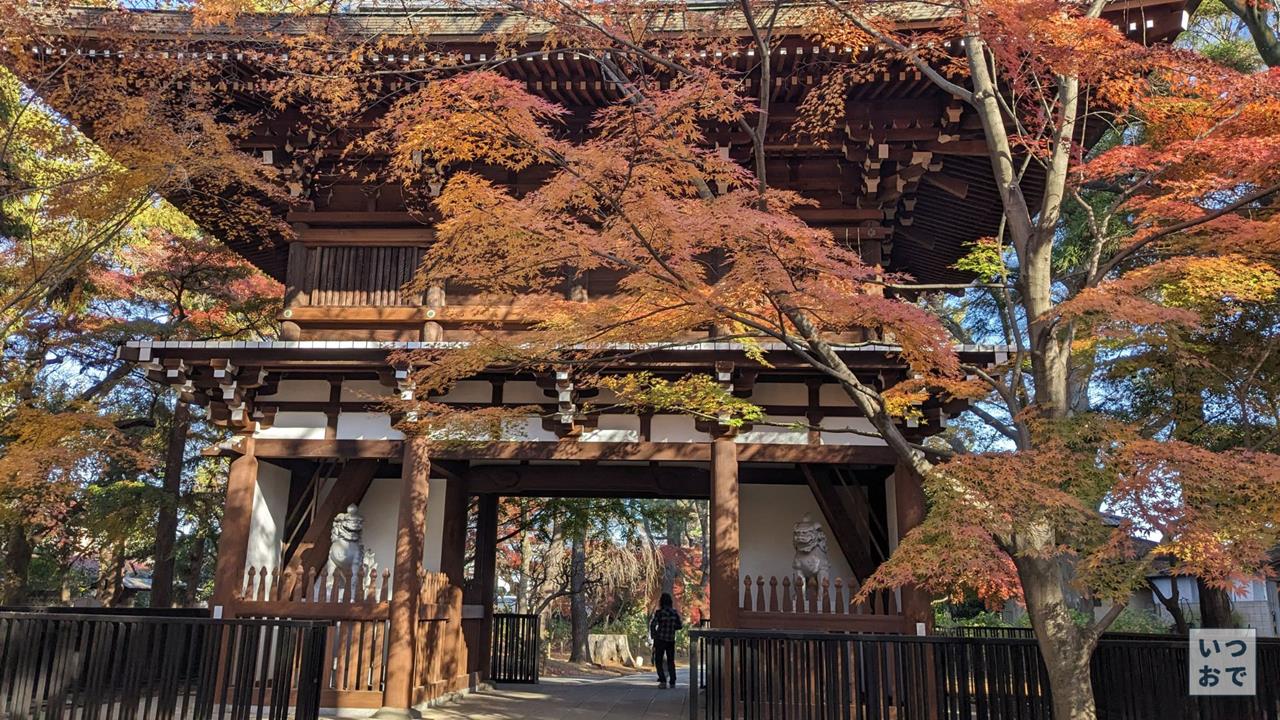 東漸寺の紅葉のブログ画像