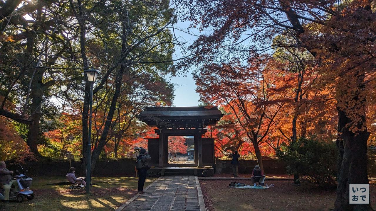 東漸寺の紅葉のブログ画像