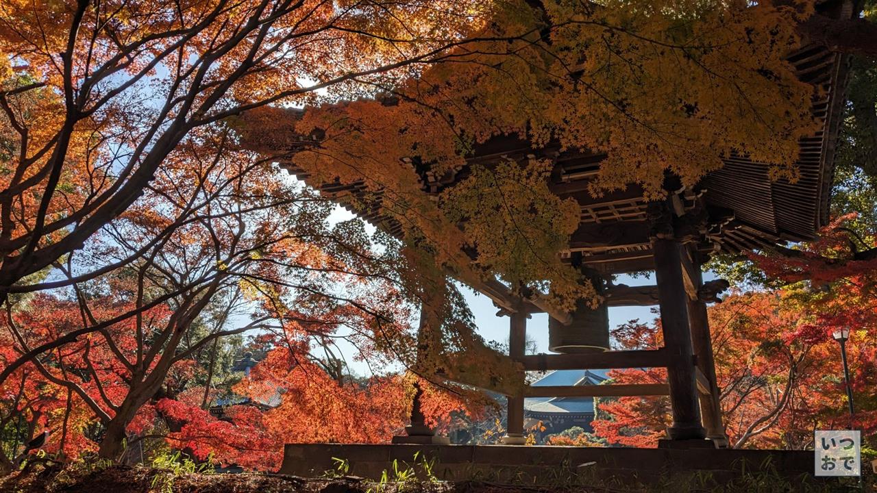 東漸寺の紅葉のブログ画像