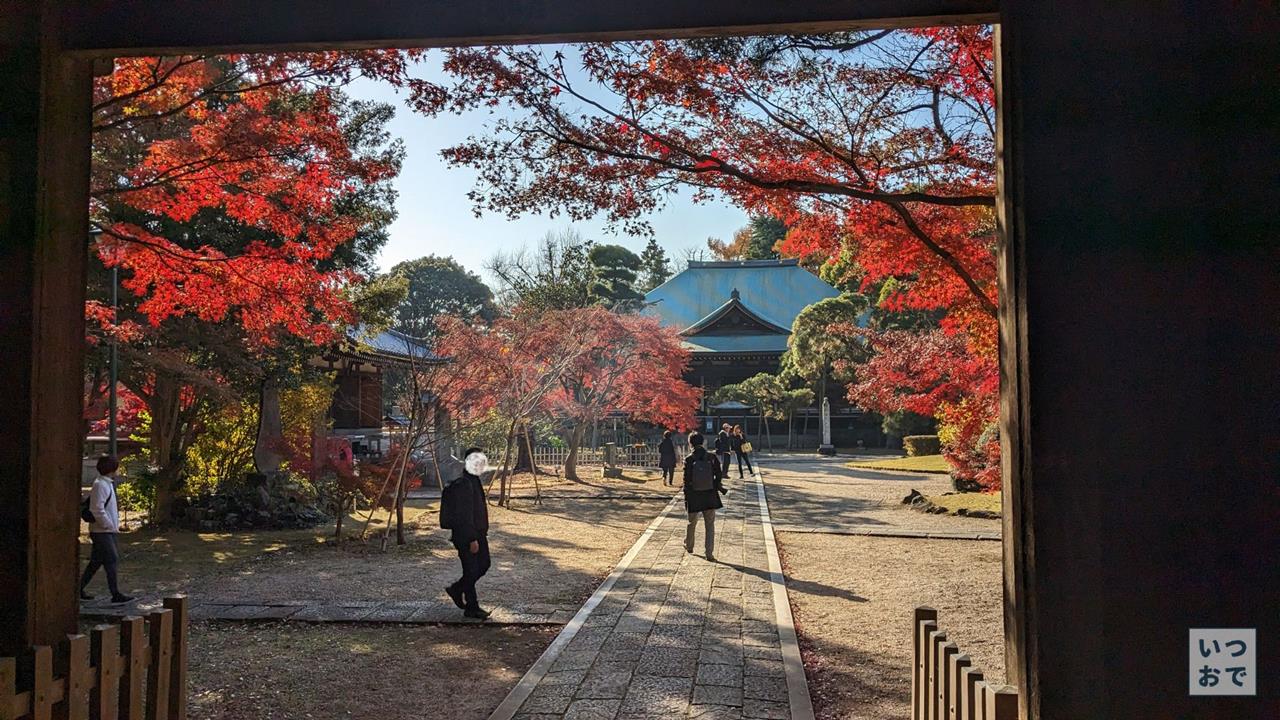 東漸寺の紅葉のブログ画像