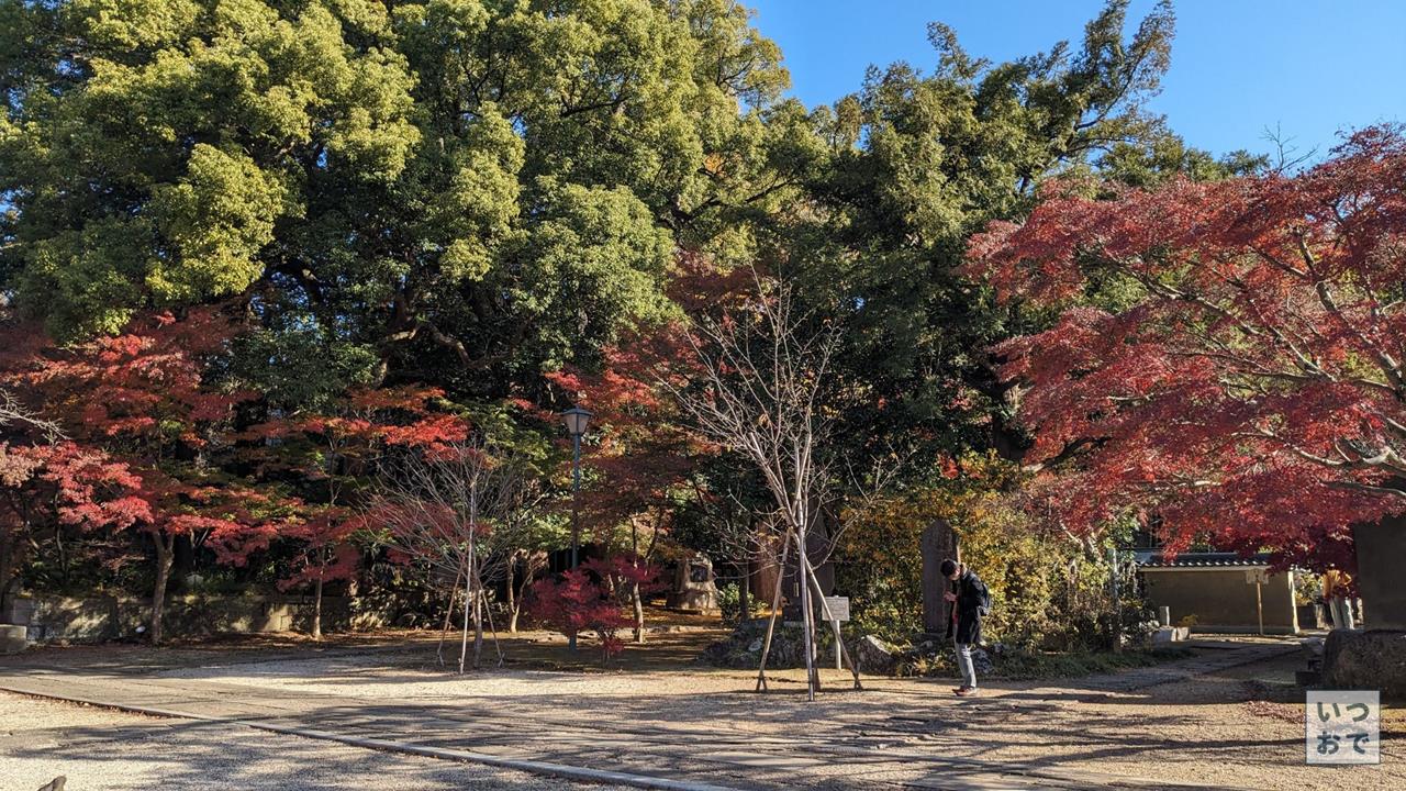 東漸寺の紅葉のブログ画像