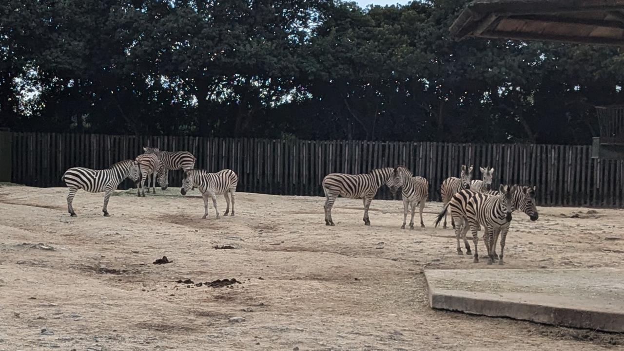 東武動物公園