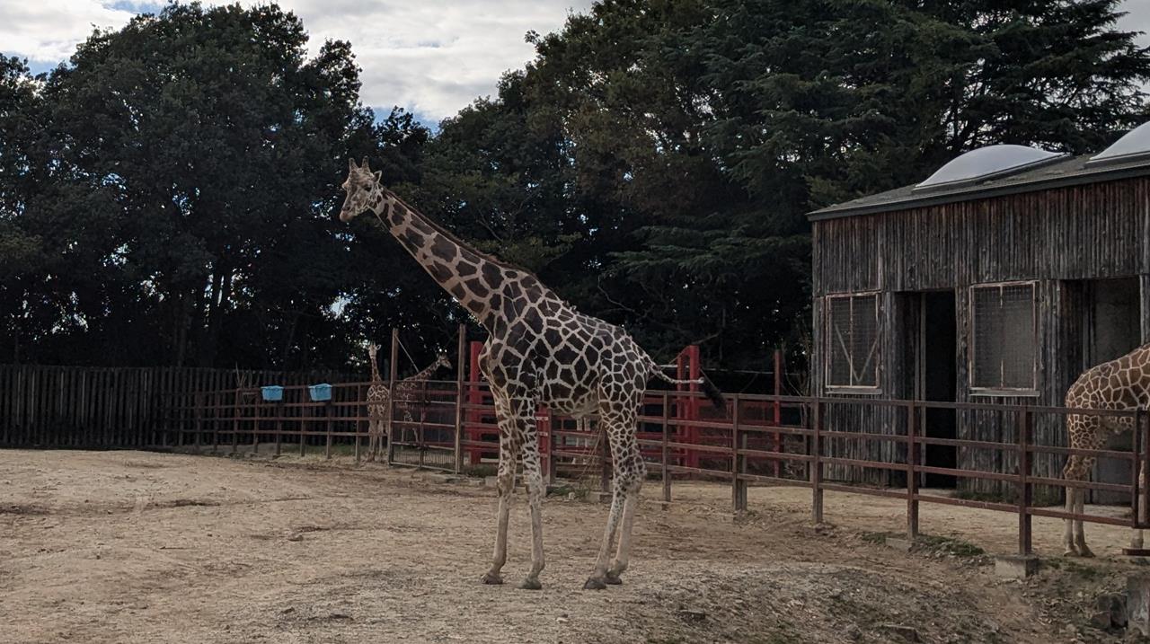 東武動物公園