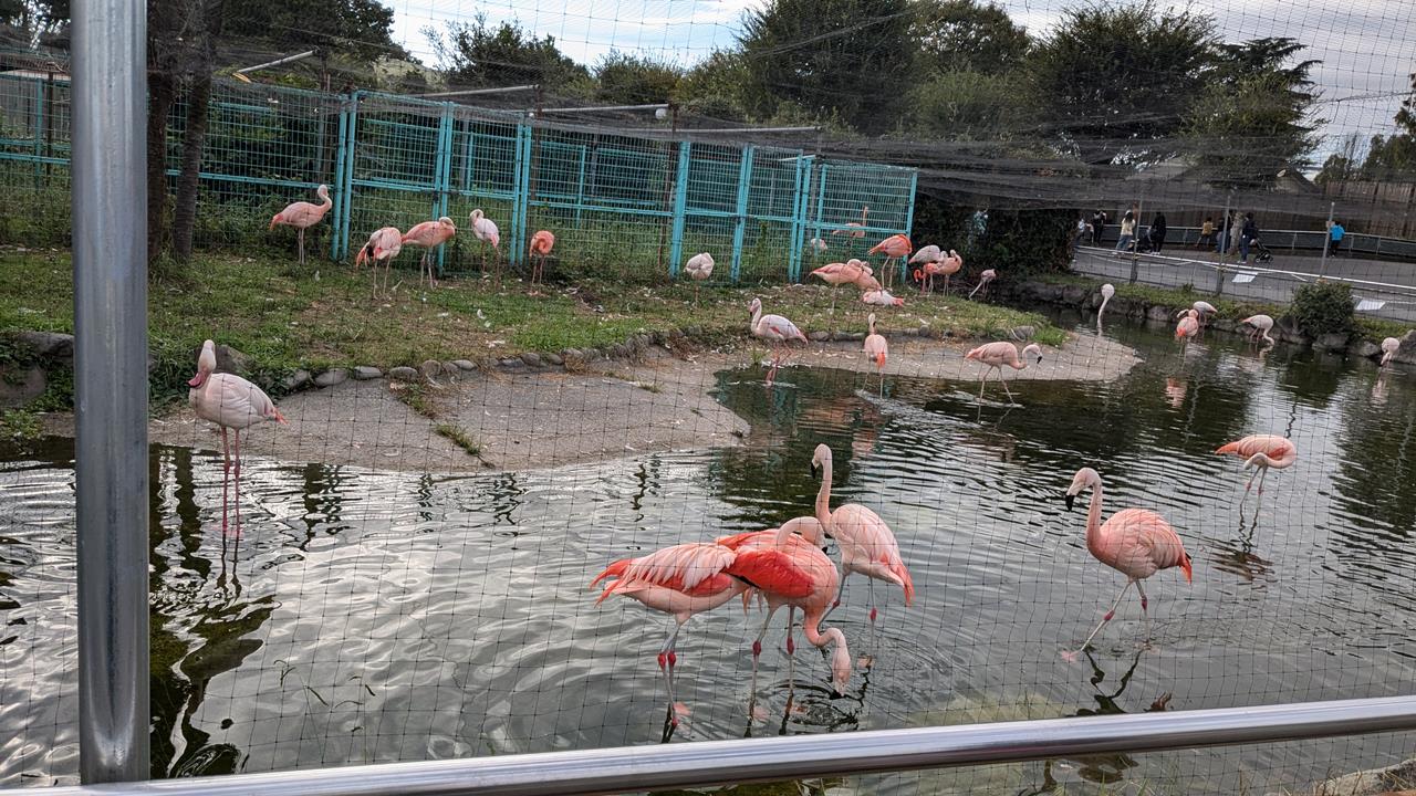 東武動物公園