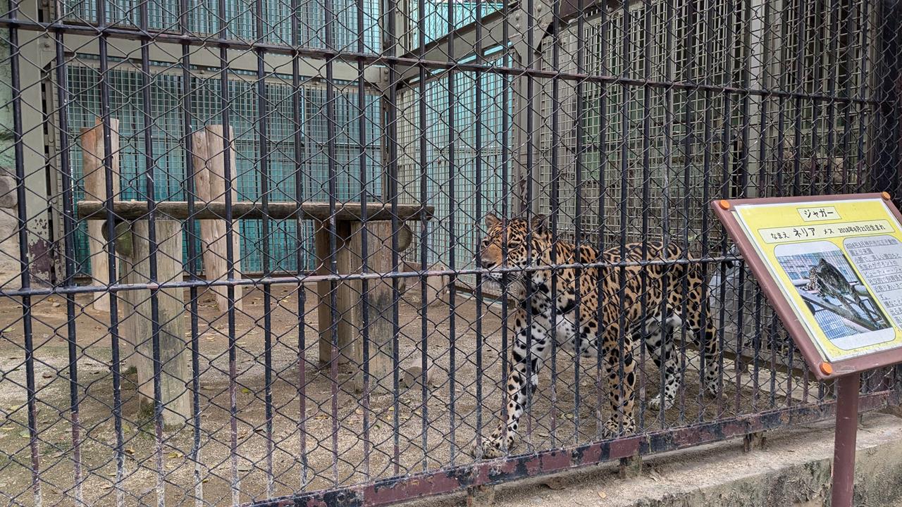 東武動物公園