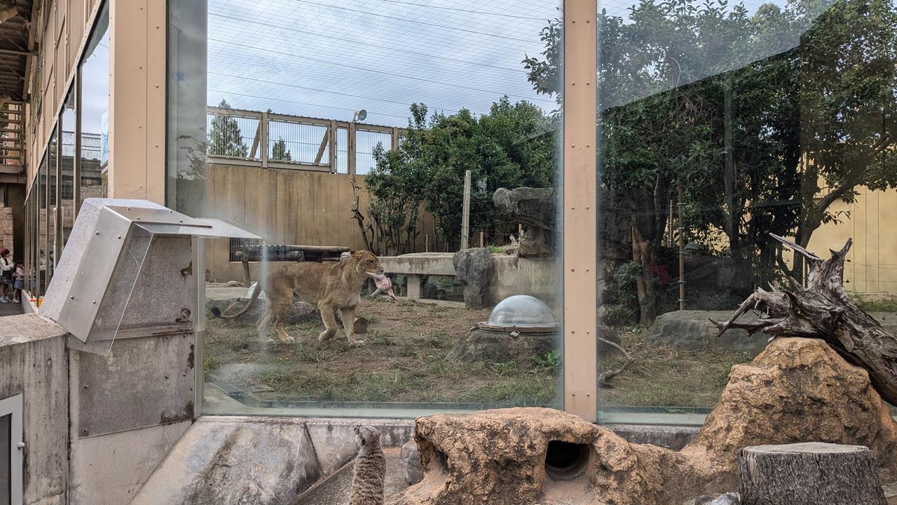 東武動物公園