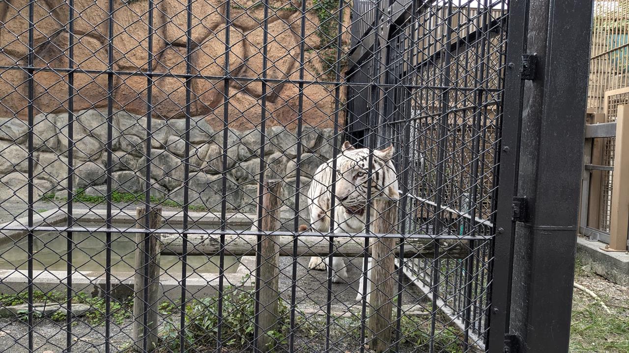 東武動物公園