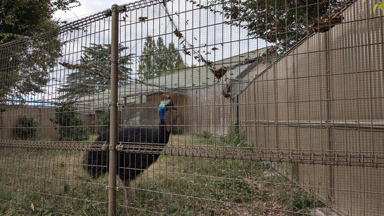 東武動物公園