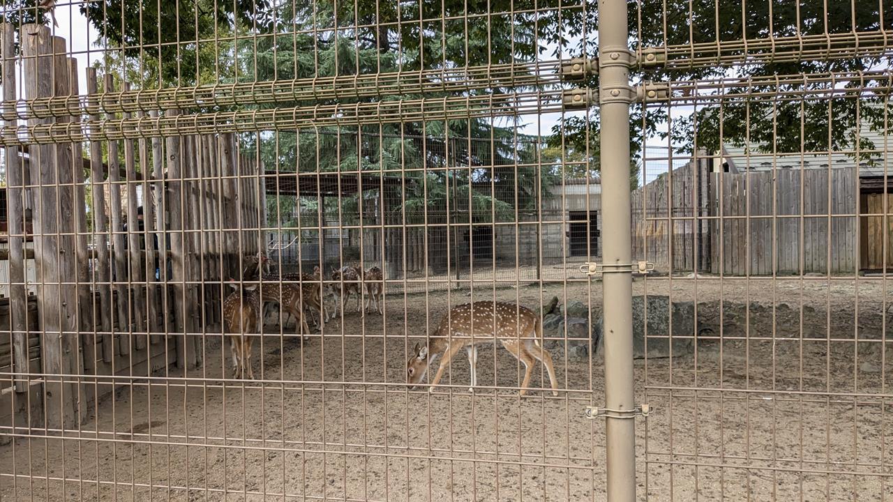 東武動物公園