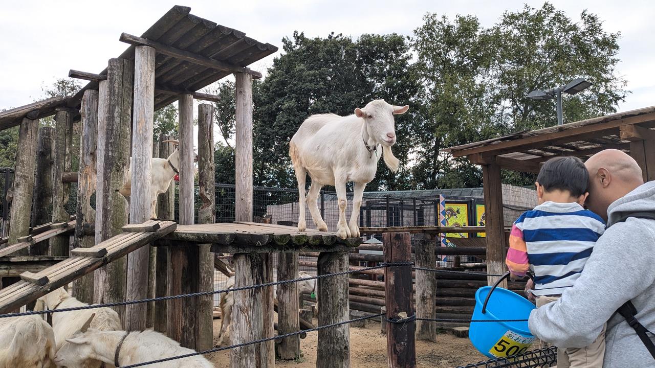 東武動物公園