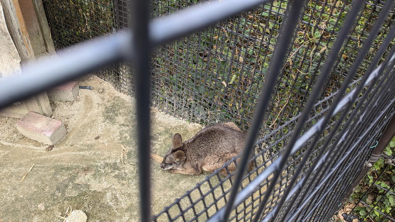 東武動物公園