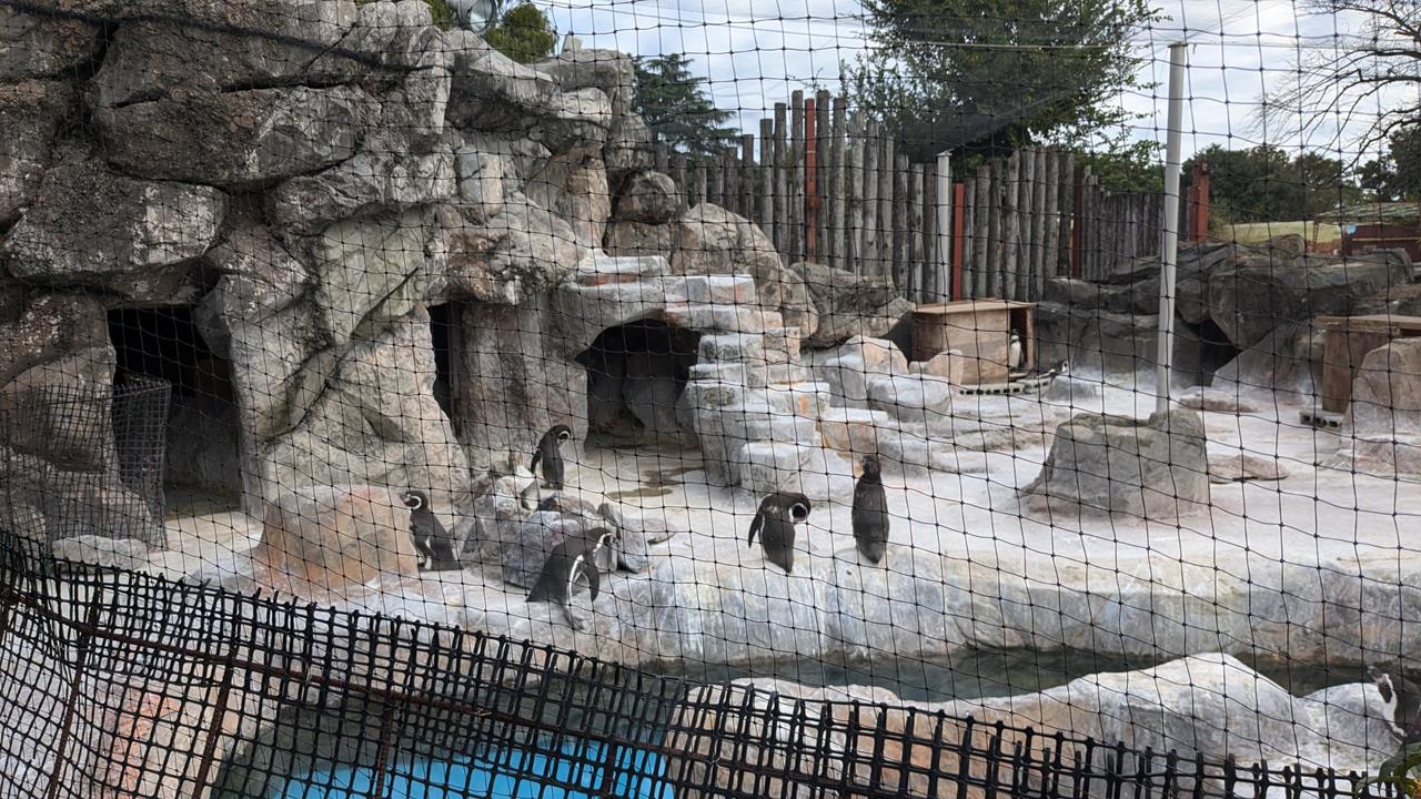 東武動物公園