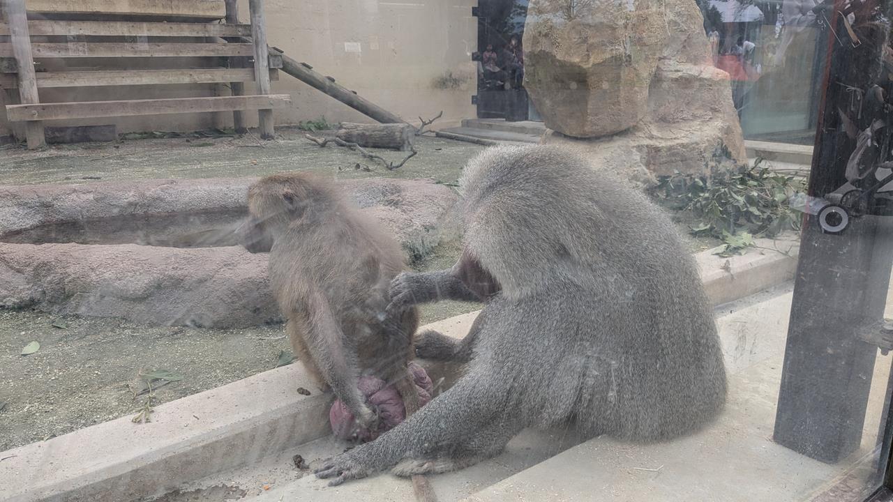 東武動物公園