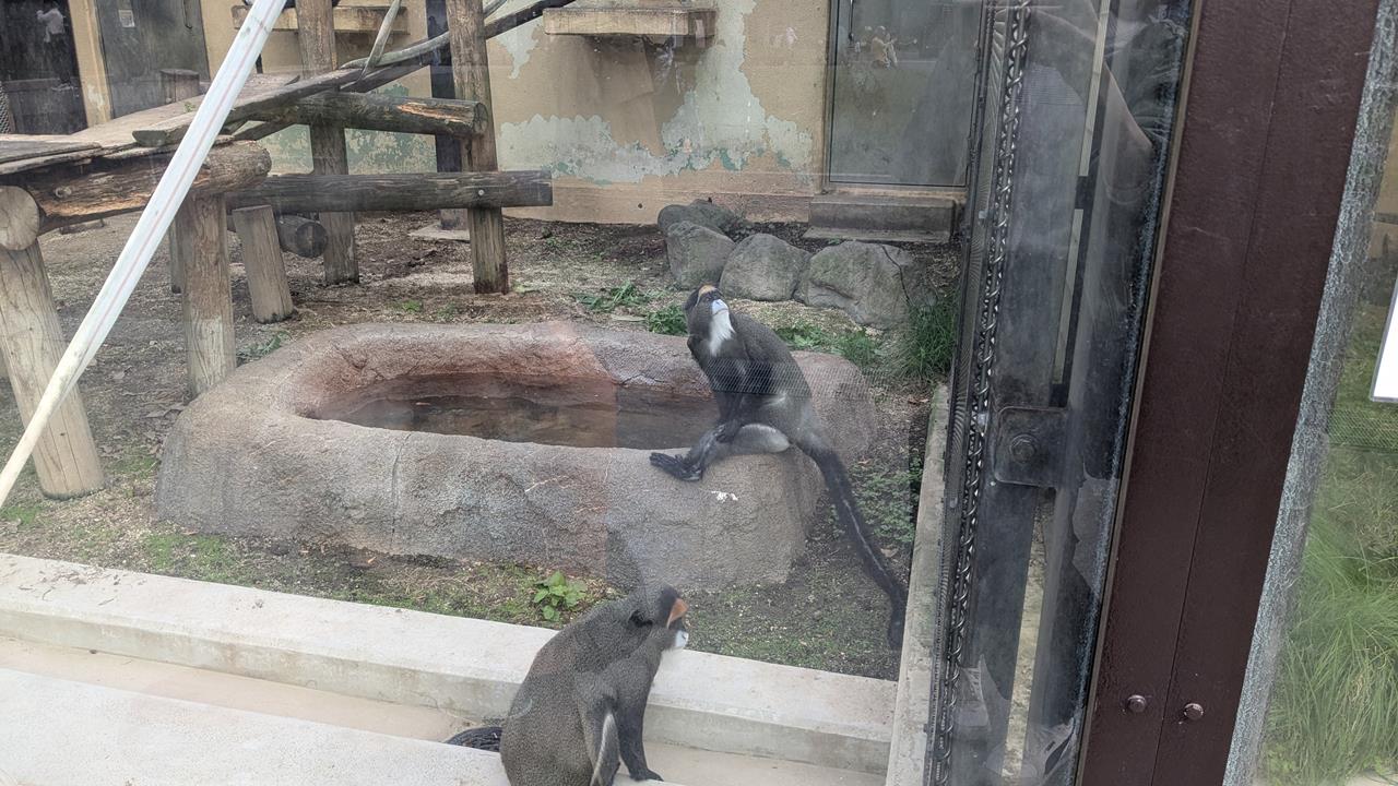 東武動物公園