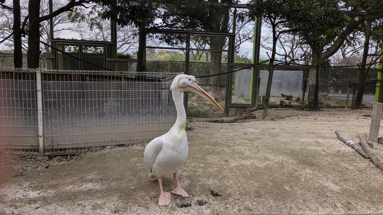 東武動物公園