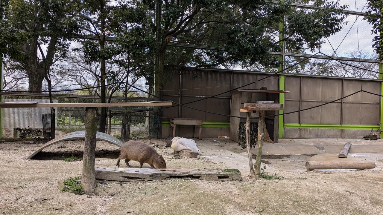 東武動物公園