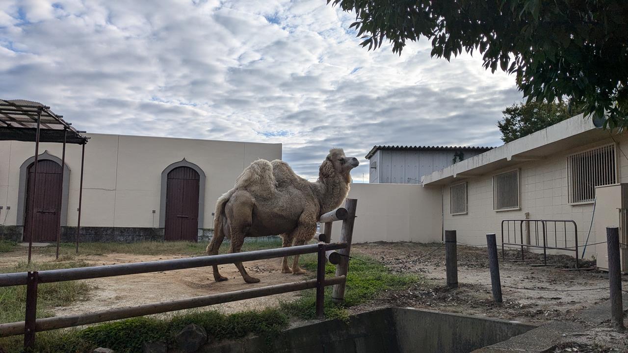 東武動物公園