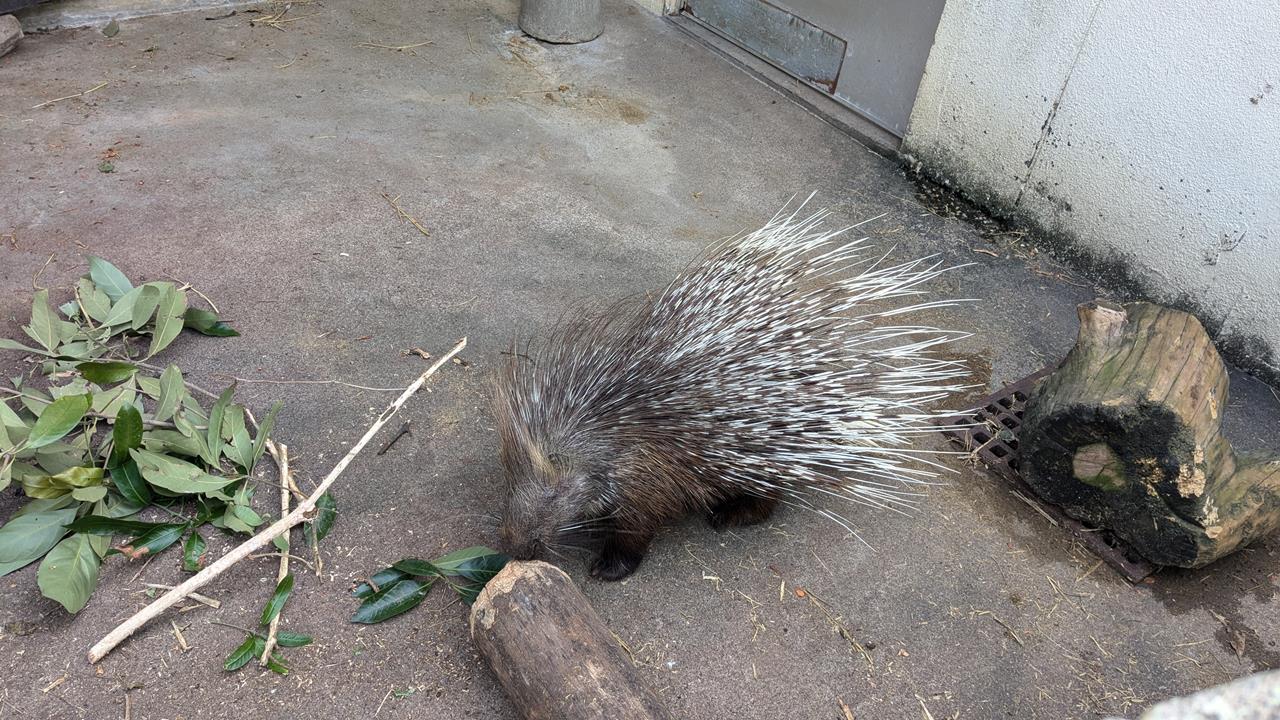 東武動物公園