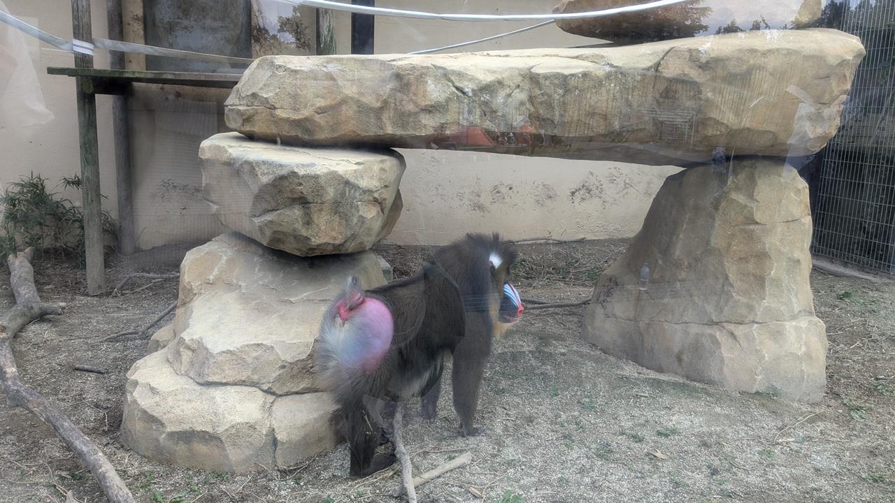 東武動物公園