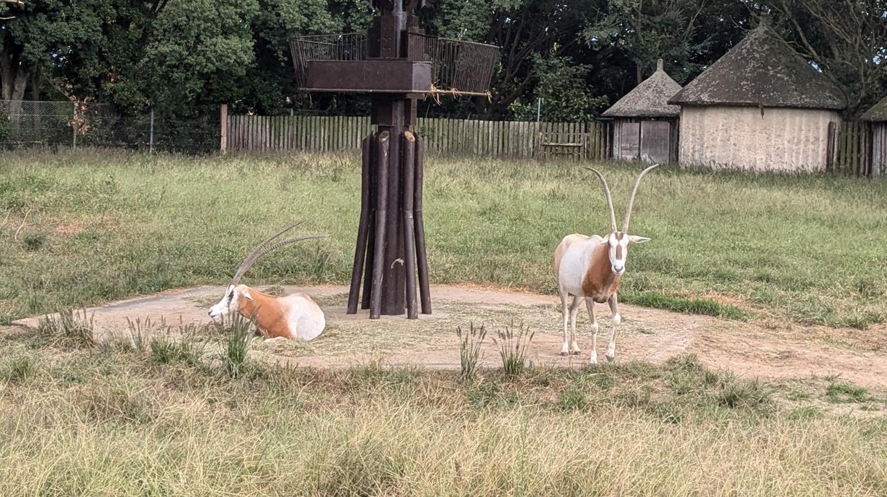 東武動物公園