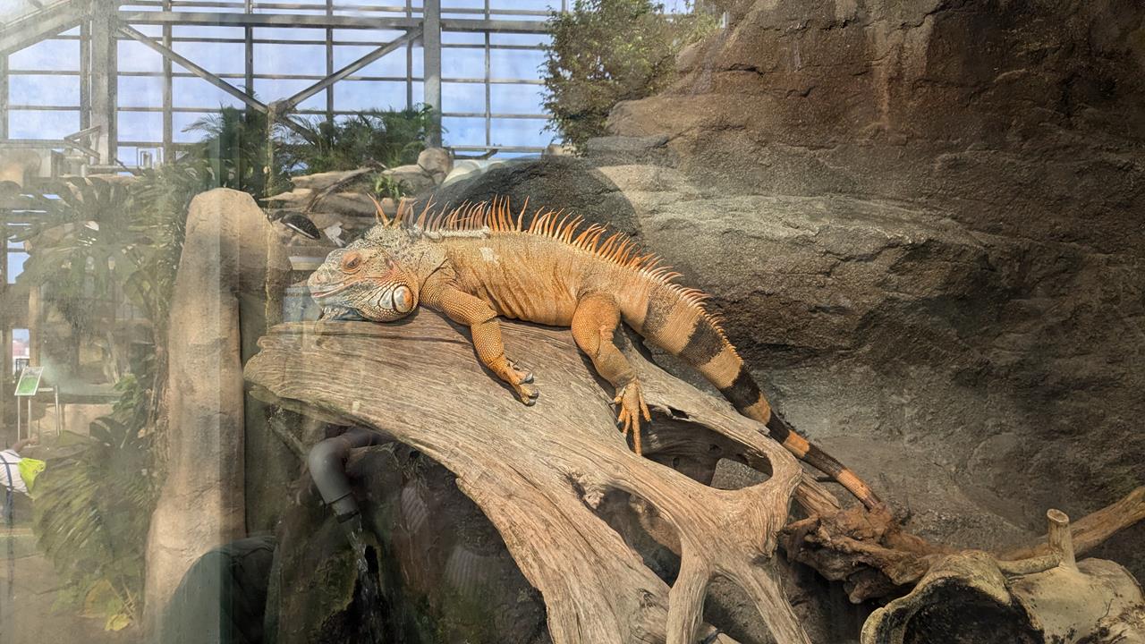 鳥羽水族館旅行のブログ画像