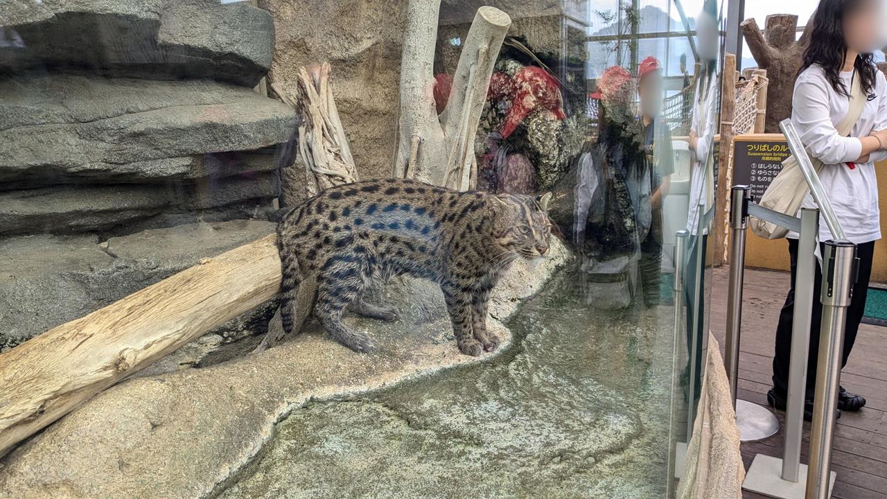 鳥羽水族館旅行のブログ画像