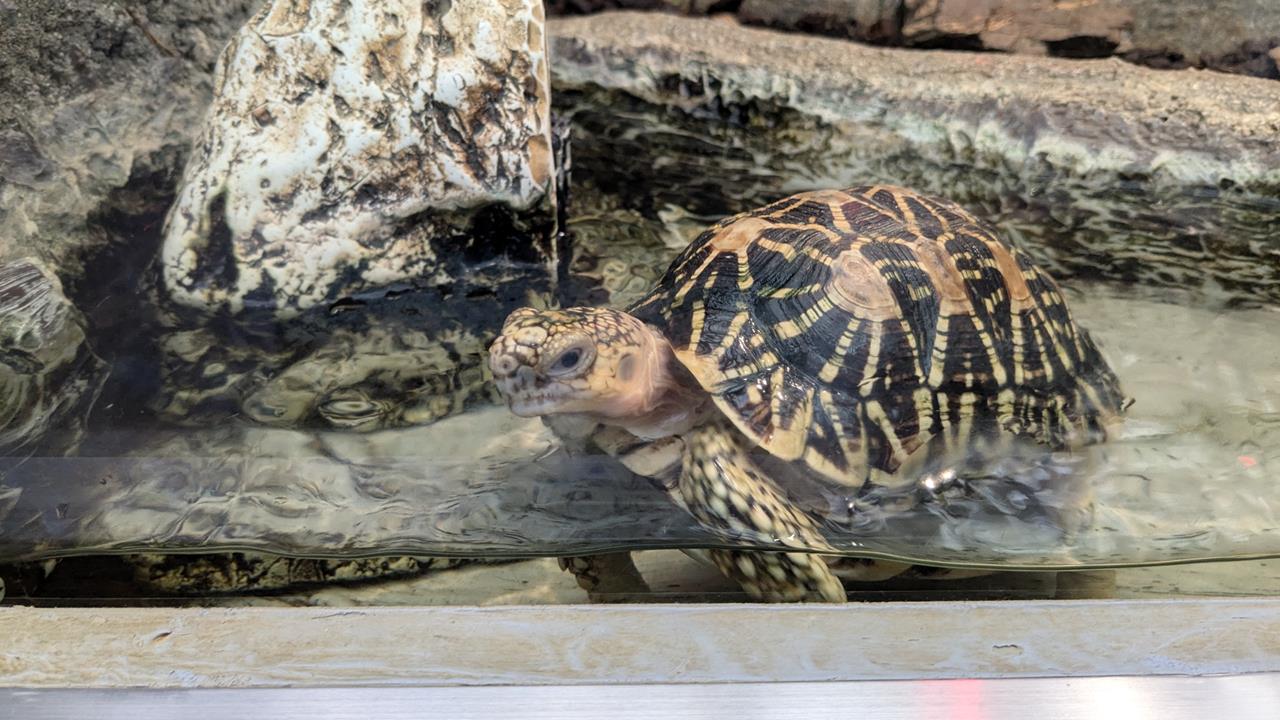 鳥羽水族館旅行のブログ画像