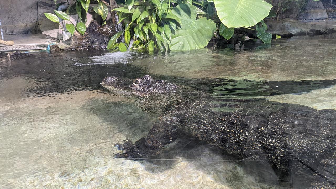 鳥羽水族館旅行のブログ画像