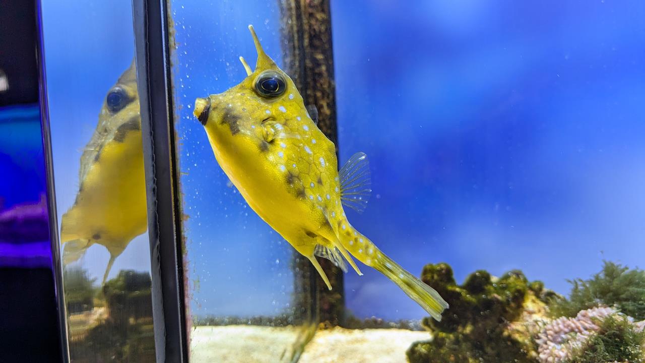 鳥羽水族館旅行のブログ画像