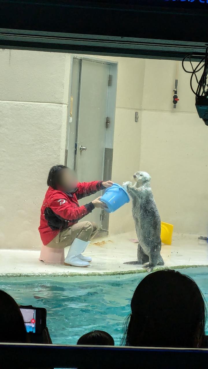 鳥羽水族館旅行のブログ画像