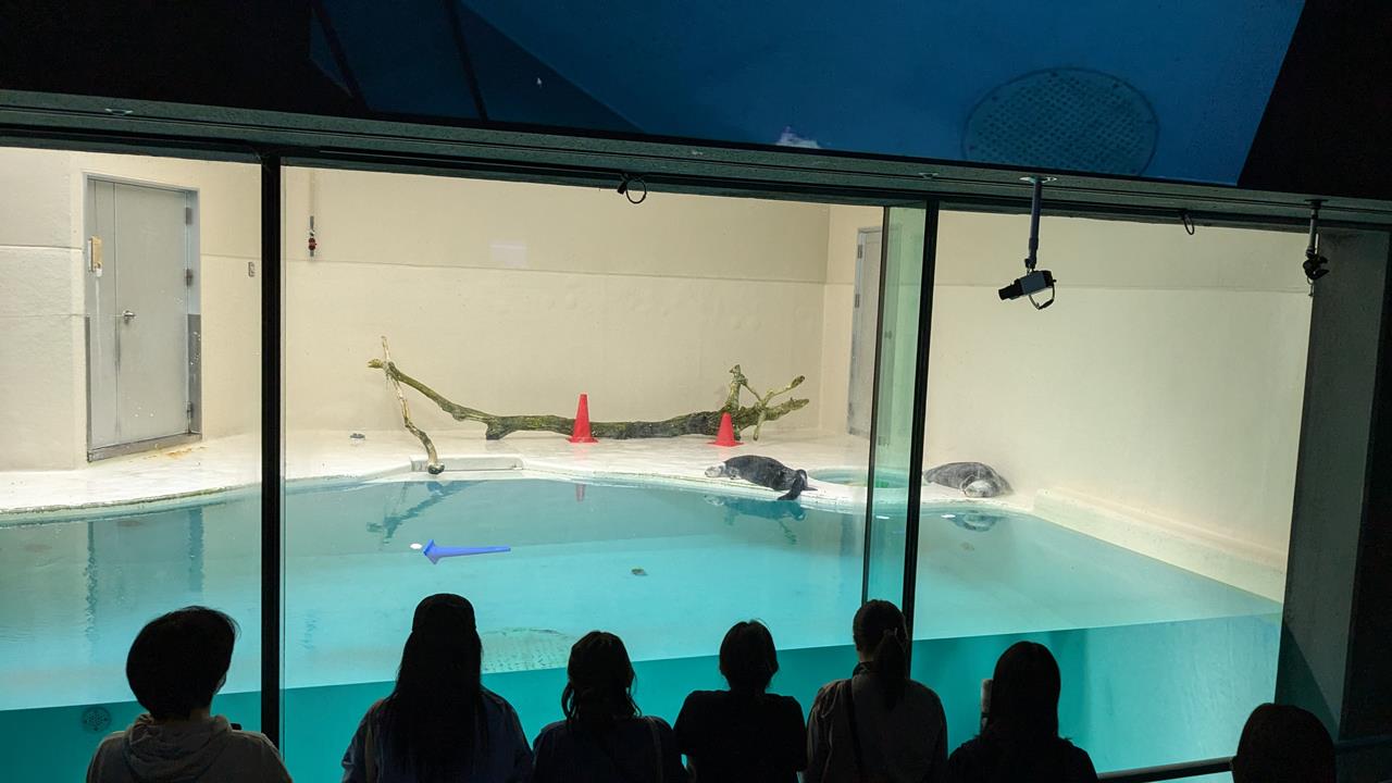 鳥羽水族館旅行のブログ画像