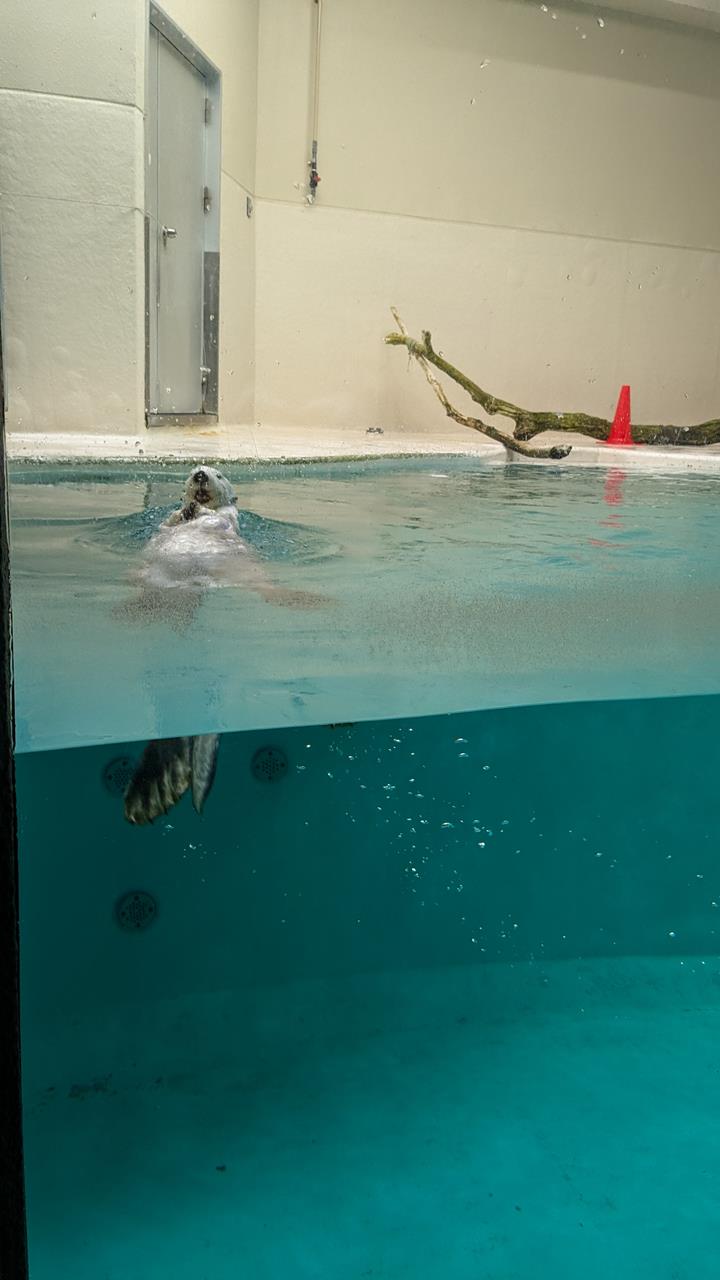 鳥羽水族館旅行のブログ画像