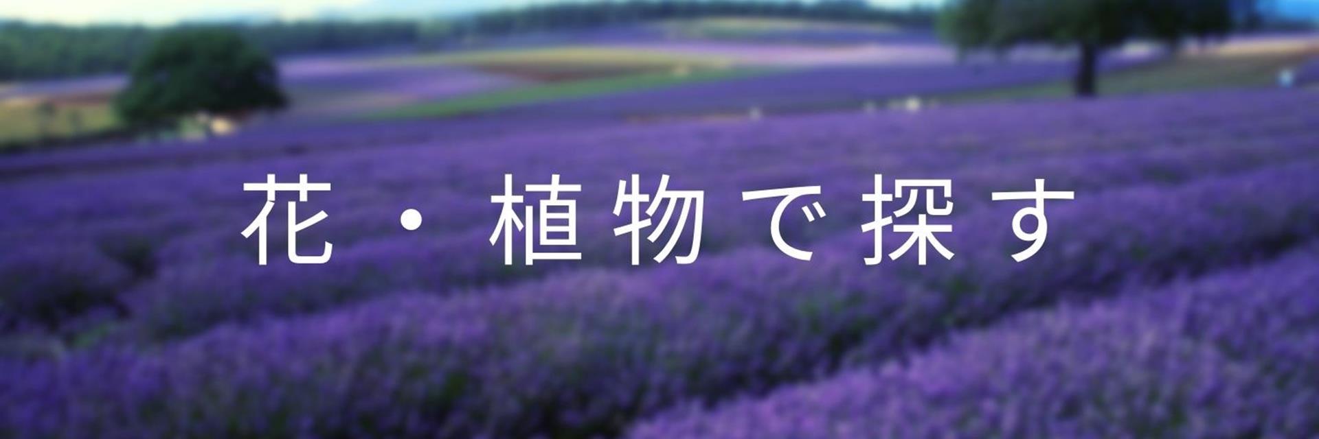 花・植物で探す