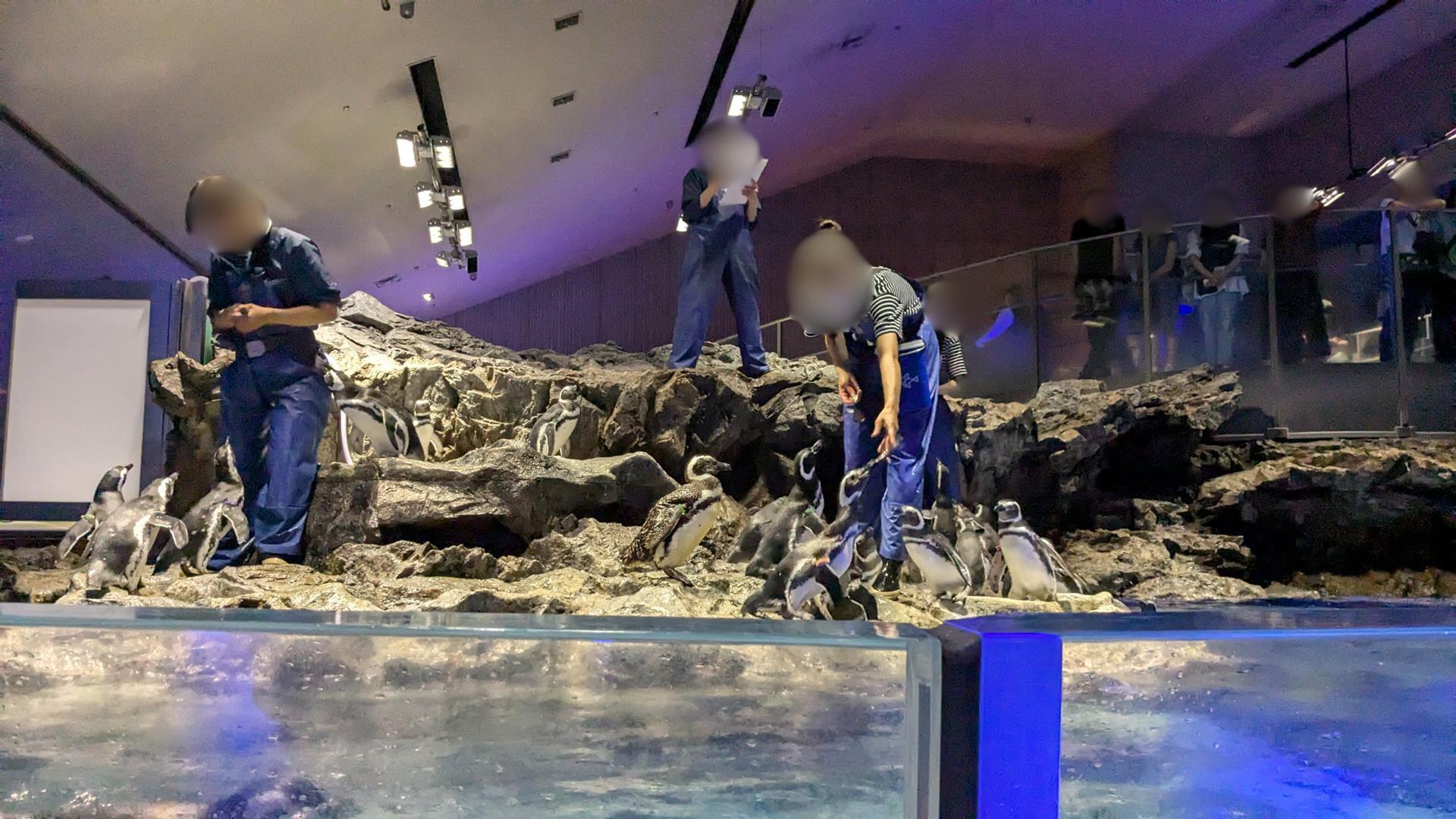 デートで行ってきた!すみだ水族館の魅力をリアルレポート