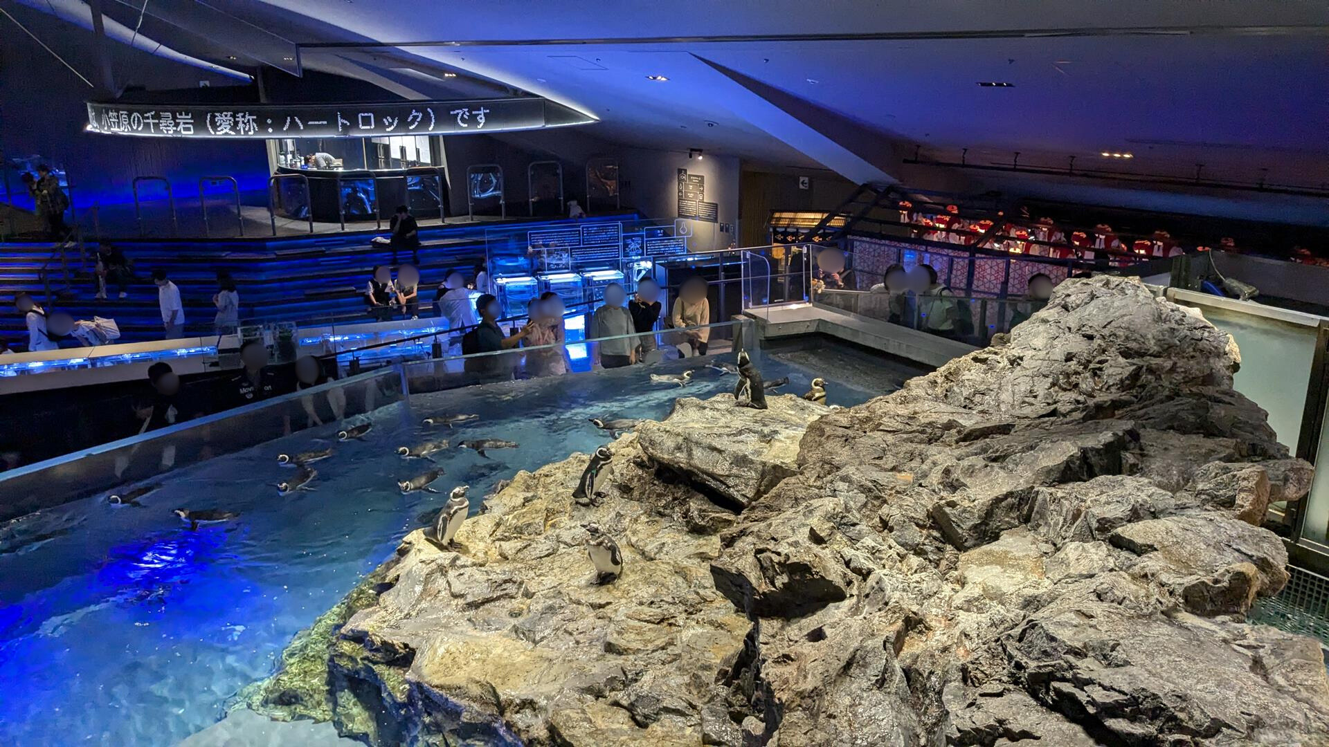 デートで行ってきた!すみだ水族館の魅力をリアルレポート