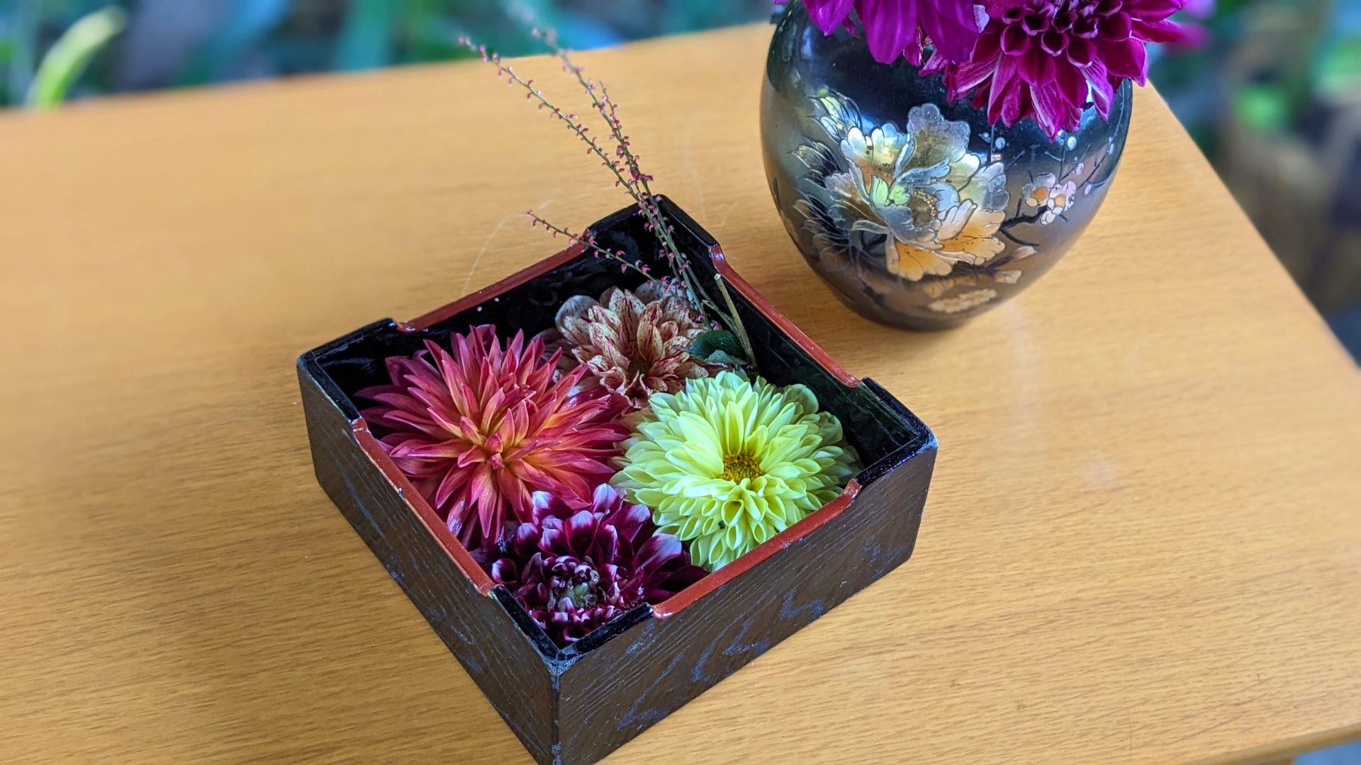 上野東照宮ぼたん苑のダリアの開花状況レビュー