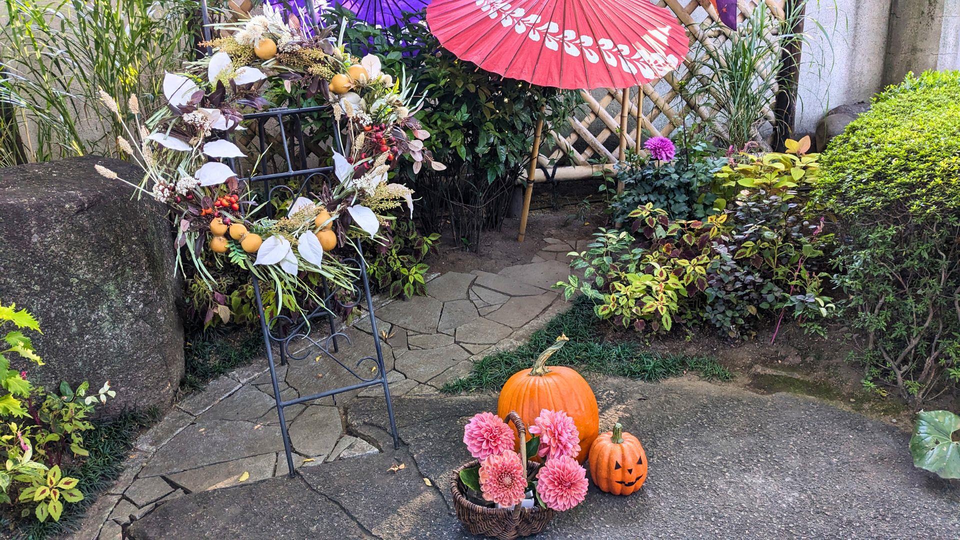 上野東照宮ぼたん苑のダリアの開花状況レビュー
