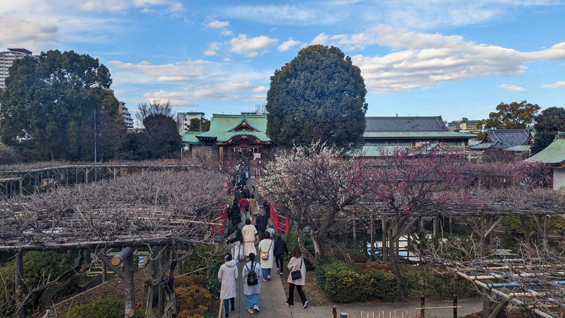 亀戸天神社