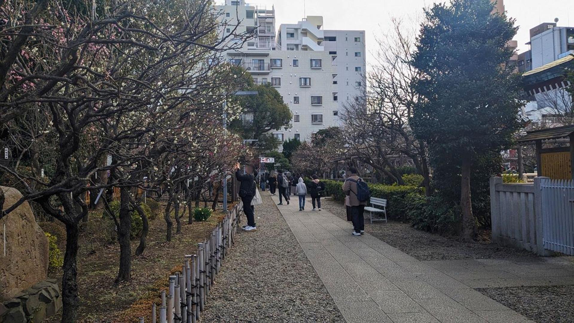 亀戸天神社