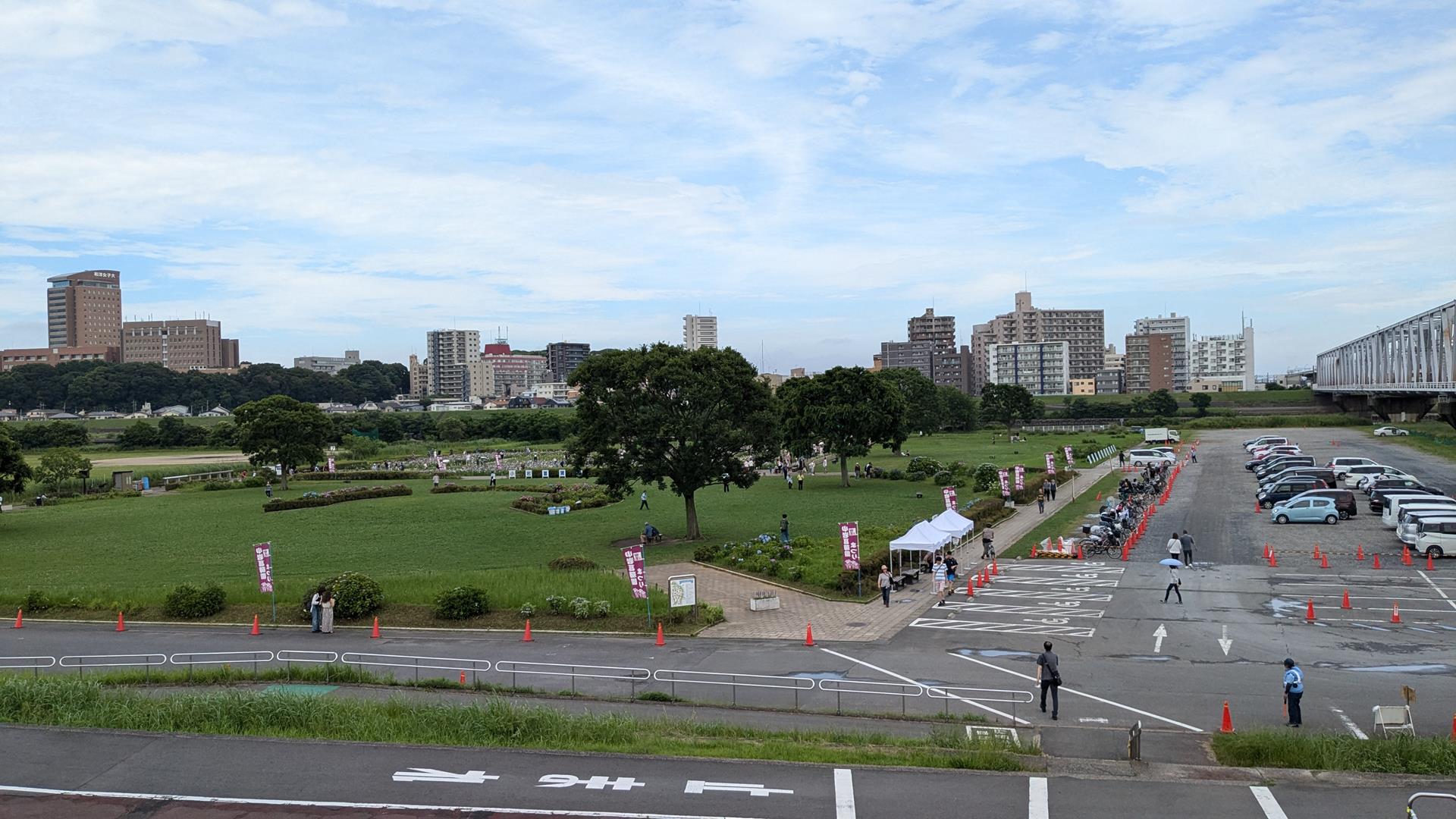 【初夏の花巡り体験レポート】小岩菖蒲園・堀切菖蒲園に行ってきた! 都内のおすすめスポットもあわせてご紹介