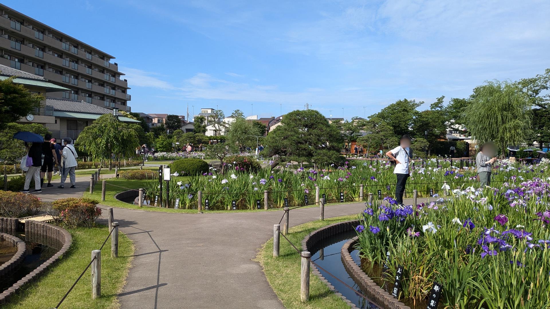 【初夏の花巡り体験レポート】小岩菖蒲園・堀切菖蒲園に行ってきた! 都内のおすすめスポットもあわせてご紹介
