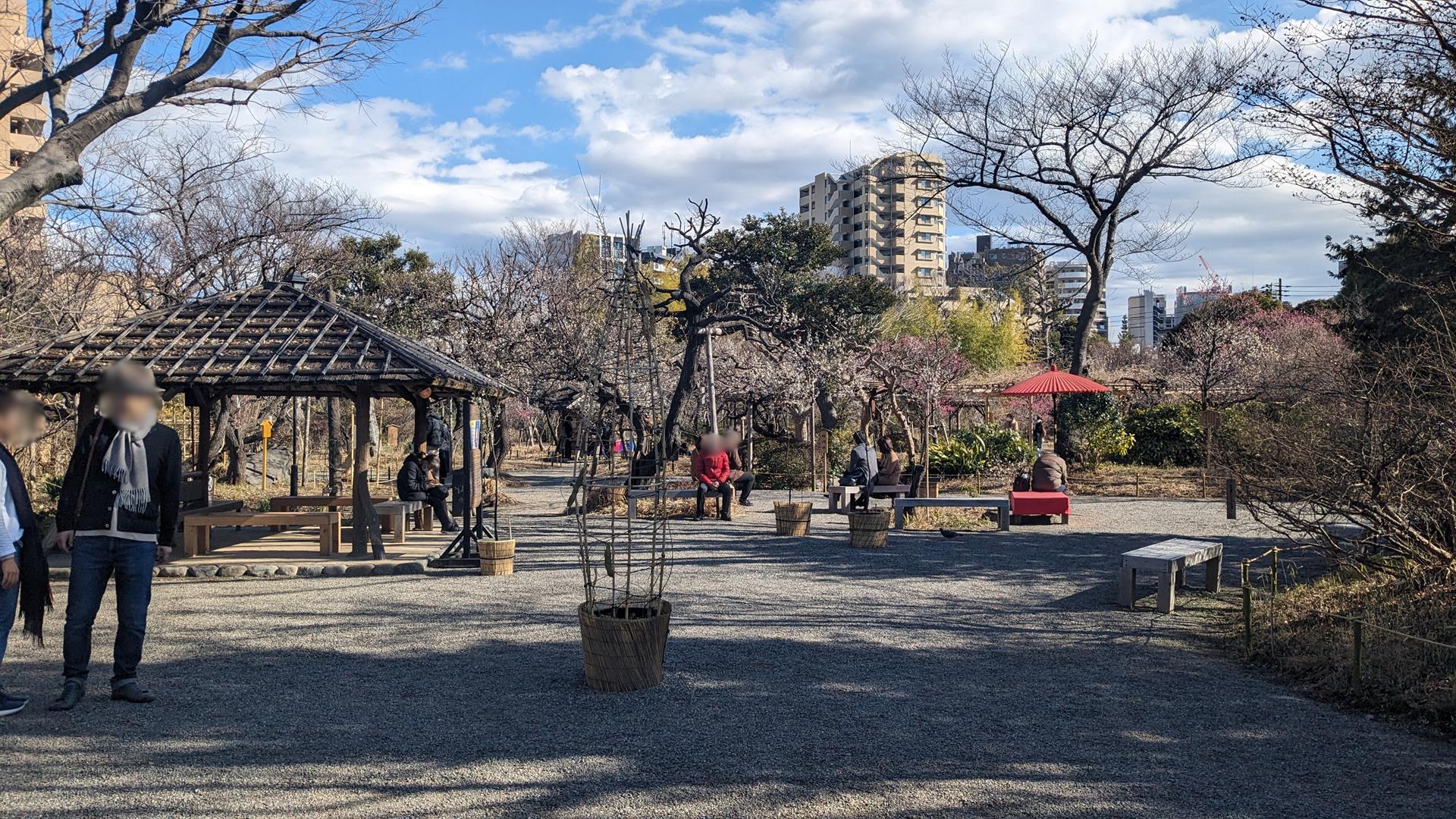 向島百花園の梅を見頃少し前に行ってみた