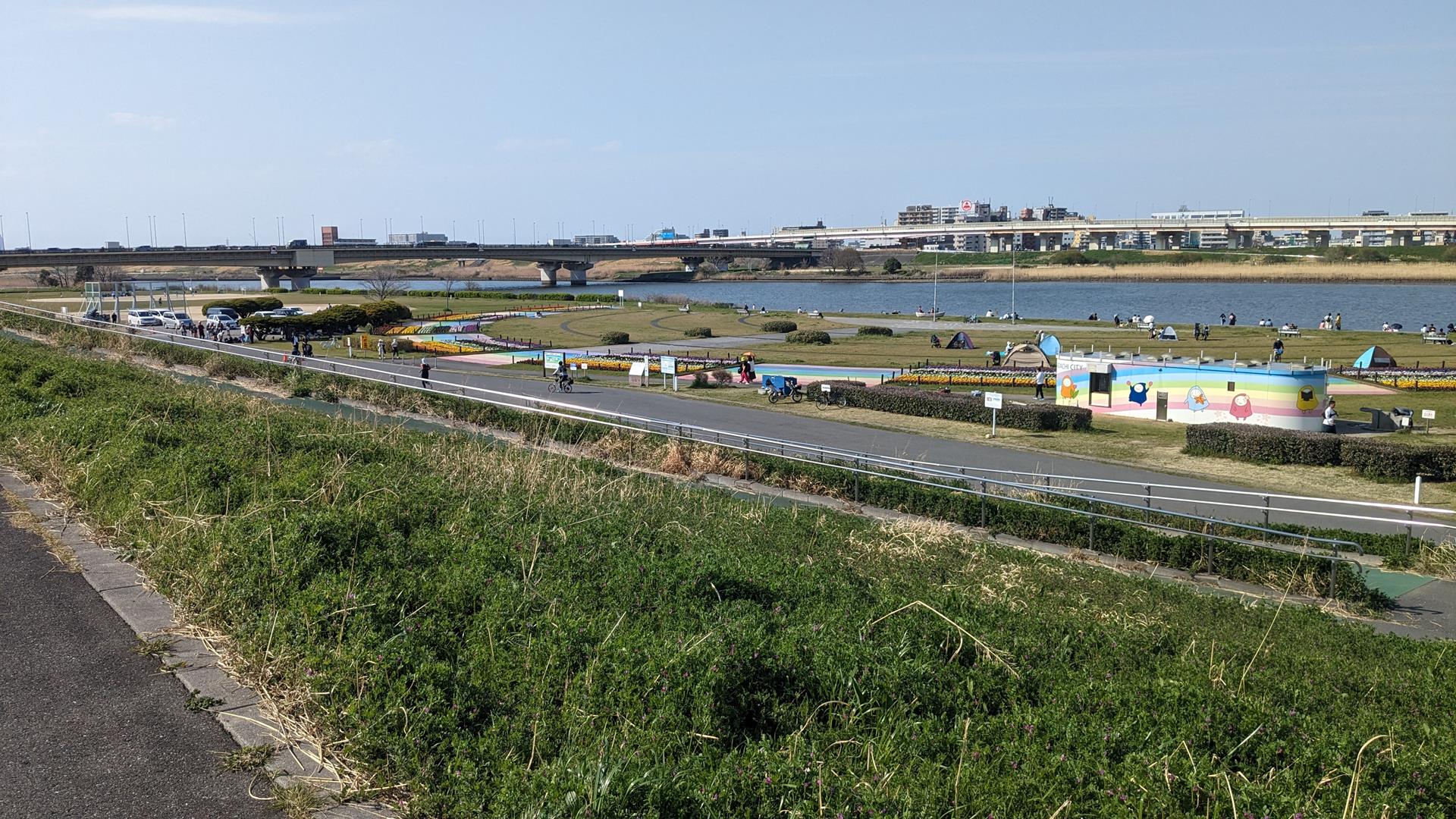 虹の広場（荒川河川敷）のチューリップ・パンジーを見に行った！見頃前でも十分キレイなスポット