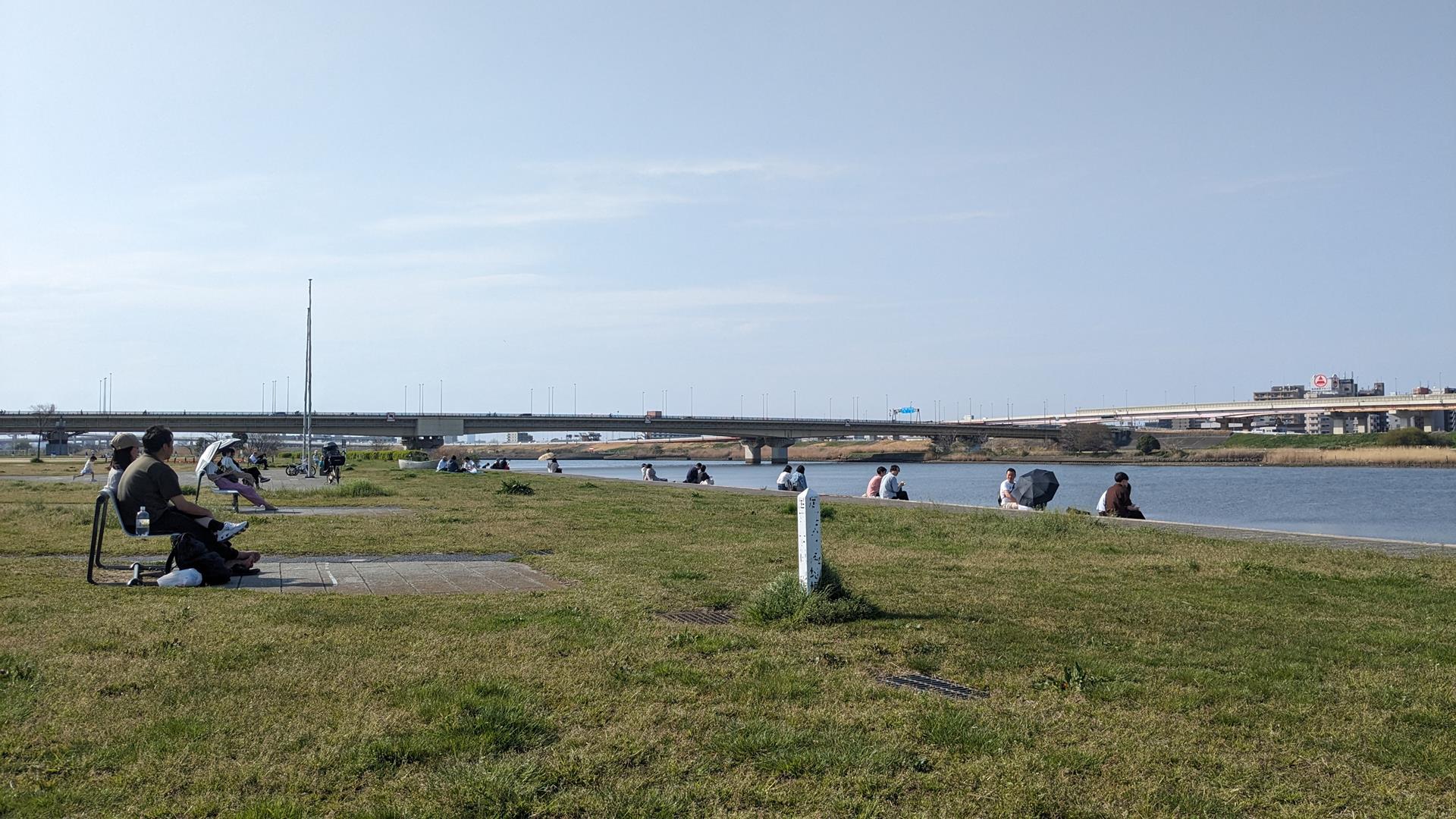 虹の広場（荒川河川敷）のチューリップ・パンジーを見に行った！見頃前でも十分キレイなスポット