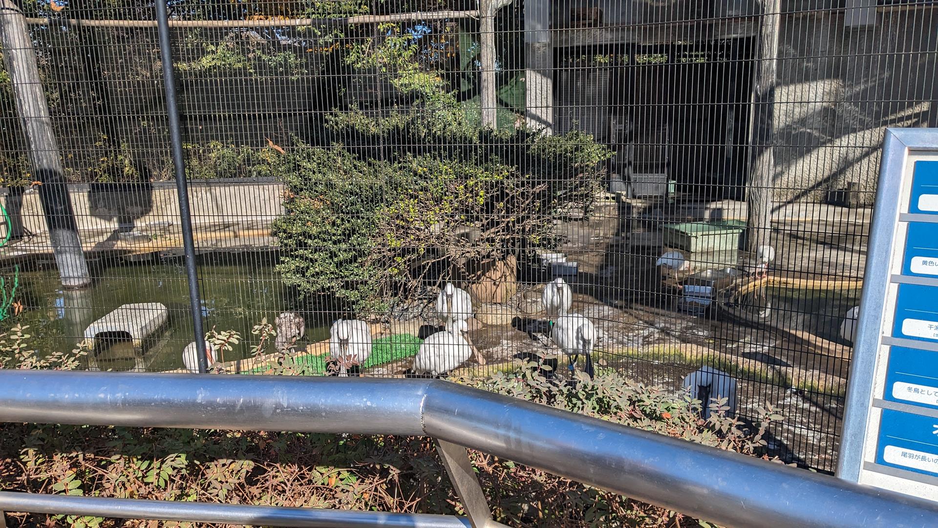 野毛山動物園
