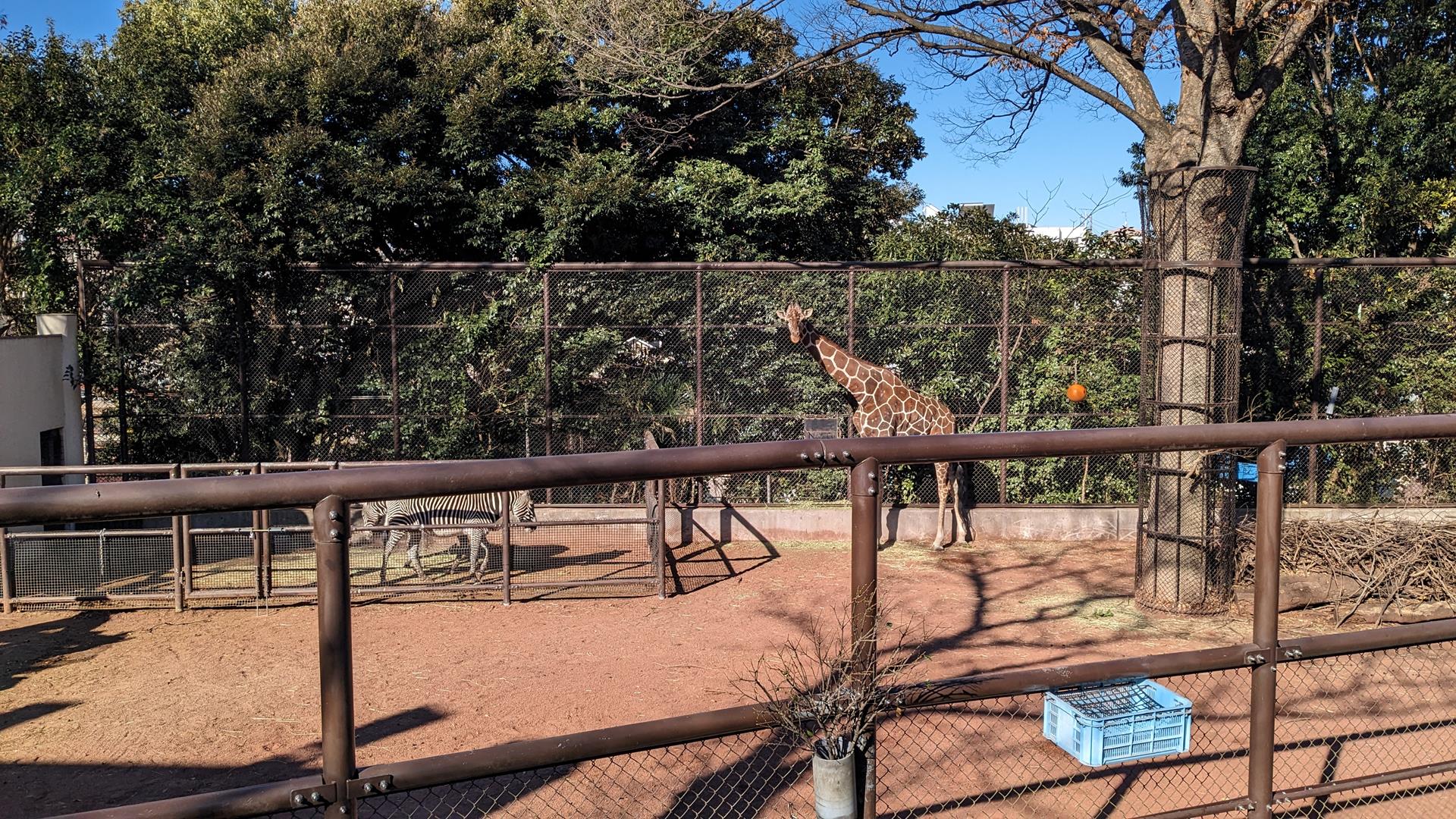 野毛山動物園