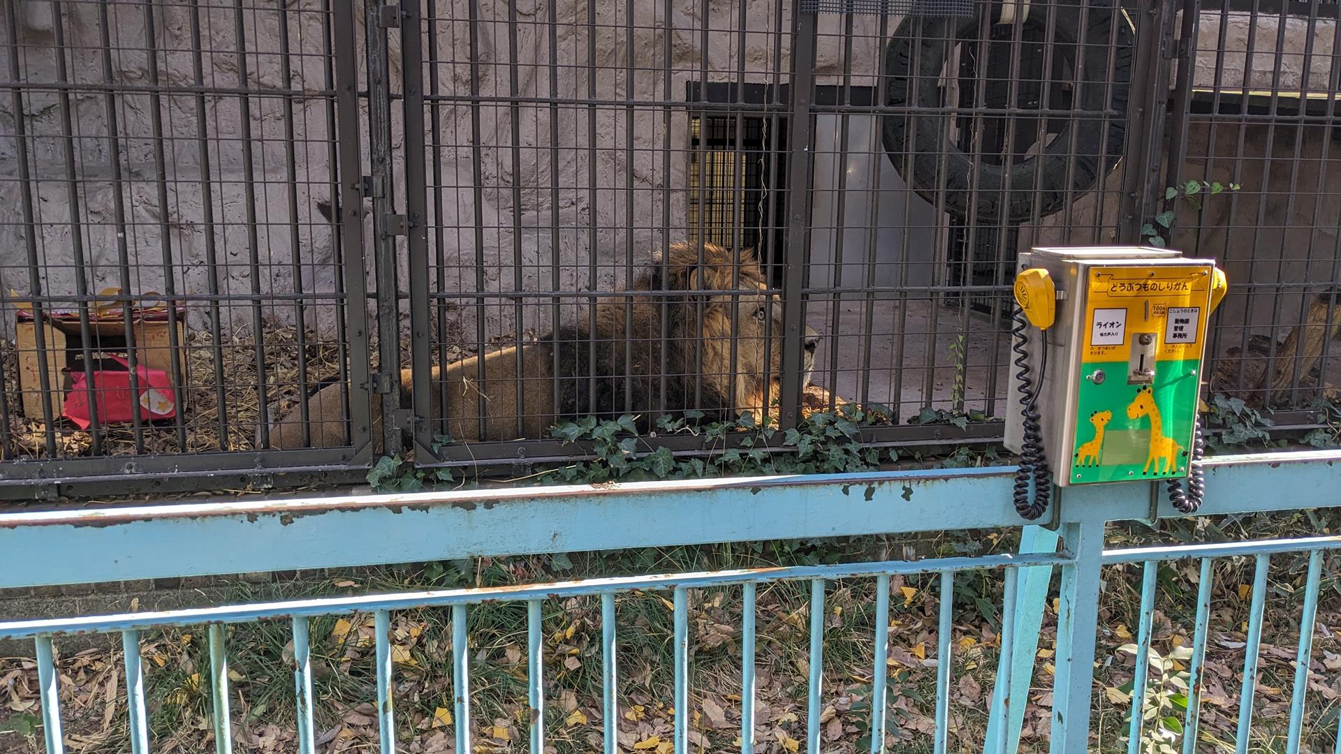 野毛山動物園