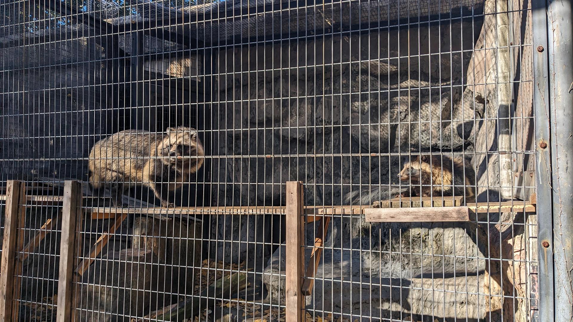 野毛山動物園
