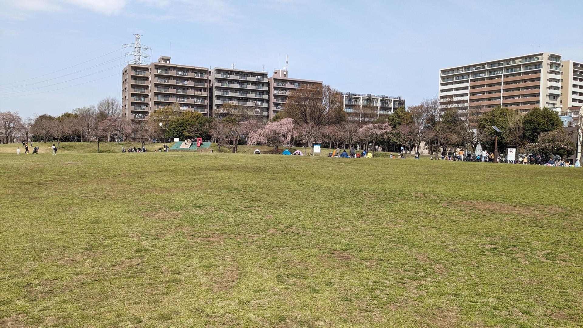 尾久の原公園のシダレザクラを見に行った!見頃はまだまだ先の様子