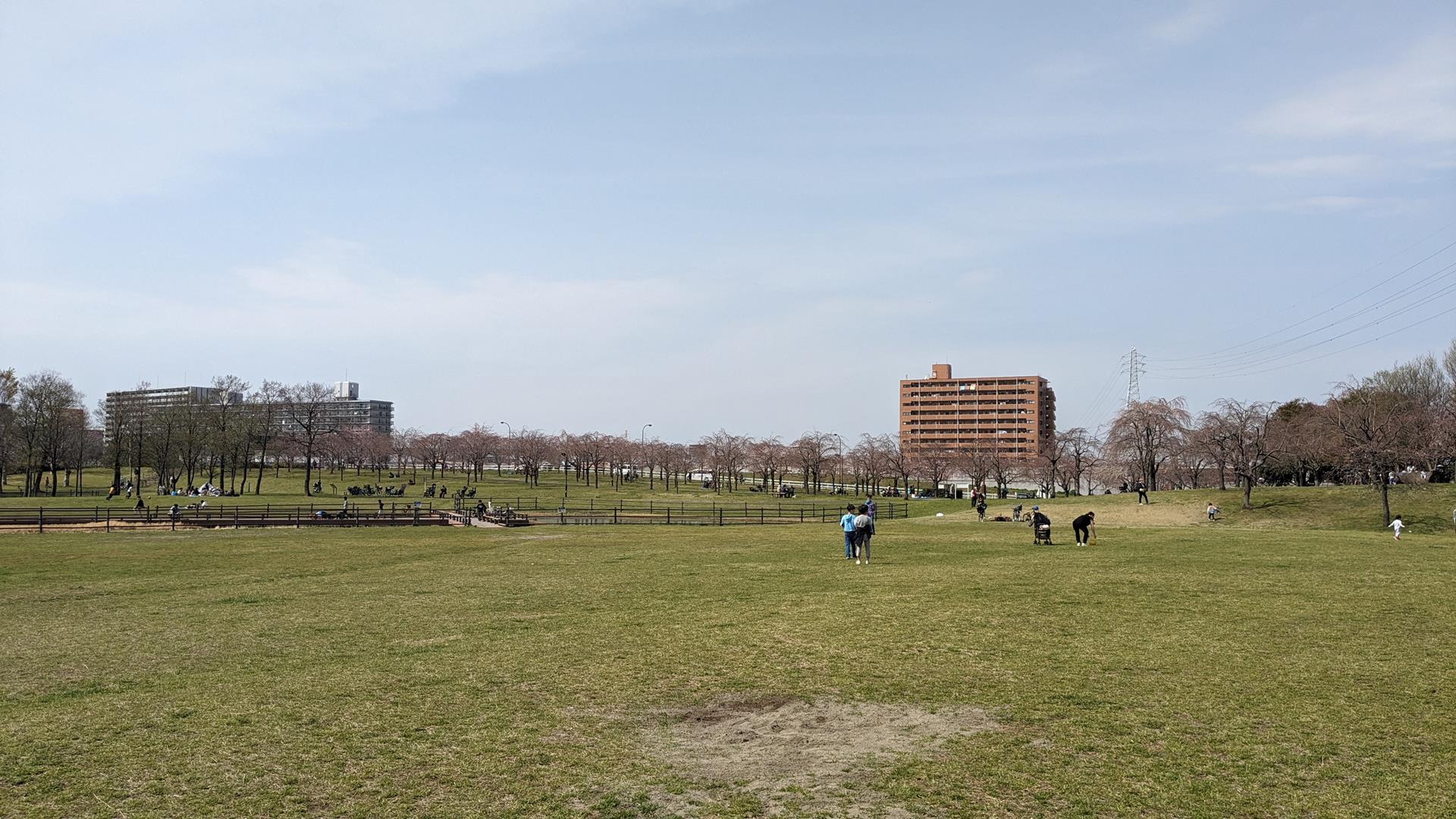 尾久の原公園のシダレザクラを見に行った!見頃はまだまだ先の様子